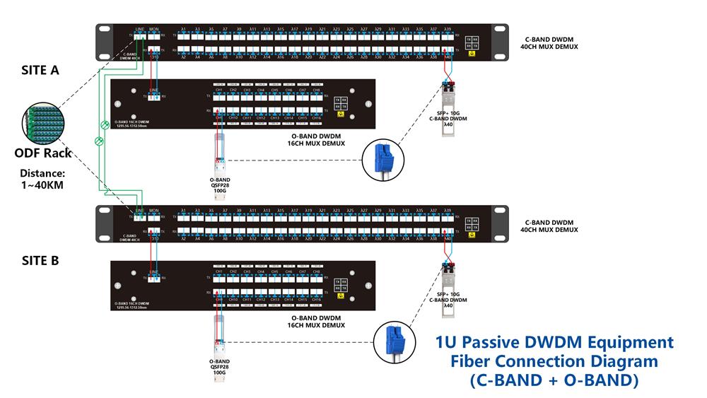 Expanding O-Band Services on C-Band WDM with Independent 1310nm Port