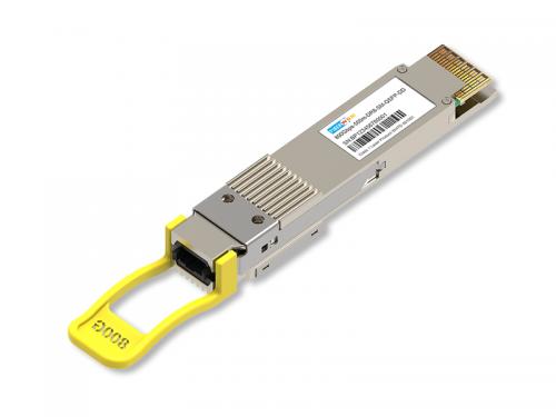  800G QSFP-DD DR8 .